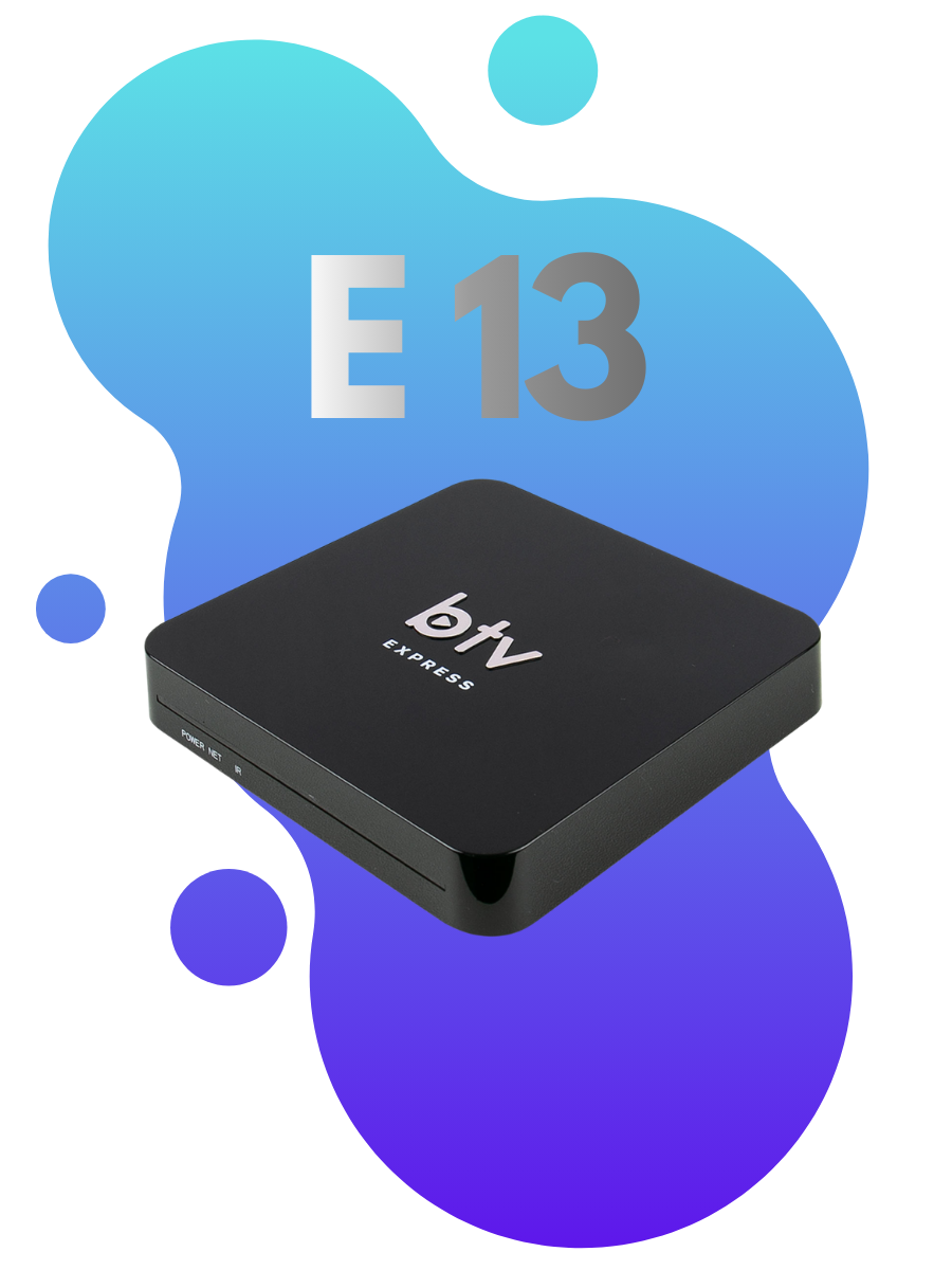BTV E13